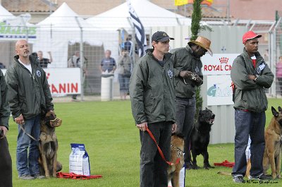 Remise des Prix 074.JPG - CHIENPLUS.COM